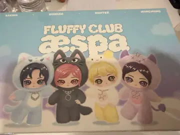 aespa popmart 팝마트 모듬 박스