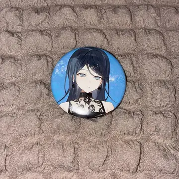 프로젝트 세카이 호시노 이치카 CD 특전