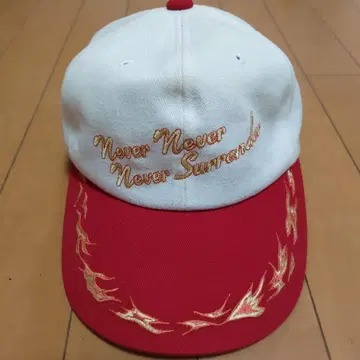 한신 타이거즈 2002년 캠프 캡