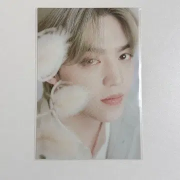 SEVENTEEN CAFE 세븐틴 카페 2024 에스쿱스 엽서