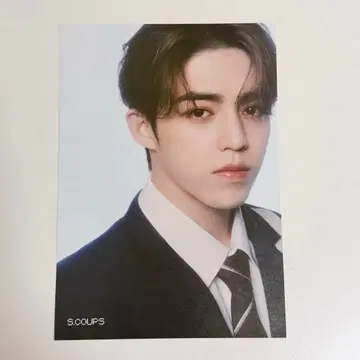 세부치 seventeen dream 타워 레코드 플라이어 에스쿱스