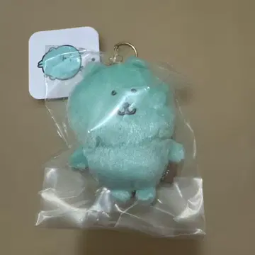 컬러풀 나가노의 곰 마스코트 민트 그린