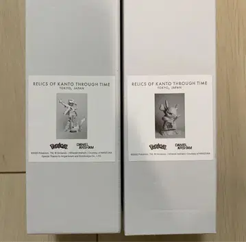 Daniel Arsham Pokemon 포스터 포켓몬