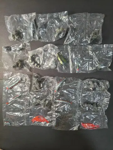 생물대도감 미니 컬렉션 상어 심해어 묶음 판매
