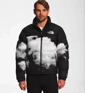 THE NORTH FACE 30주년 1992 눕시 다운 자켓