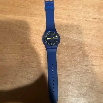 SWATCH SUNBRUSH SKY New Gent SO29N101