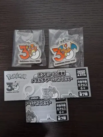 포켓몬 30주년 메탈 참 마스코트