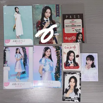 타카네노 나데시코 브로마이드 미니 사진 하즈키 사라