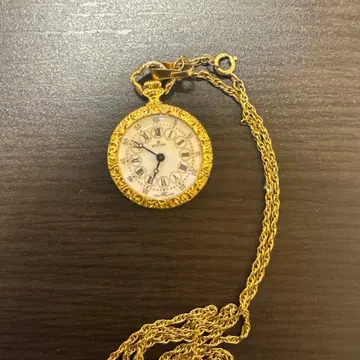 EDOX 골드 회중시계