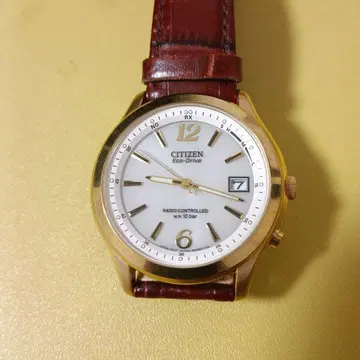 새상품급 CITIZEN Eco-Drive 라디오 컨트롤