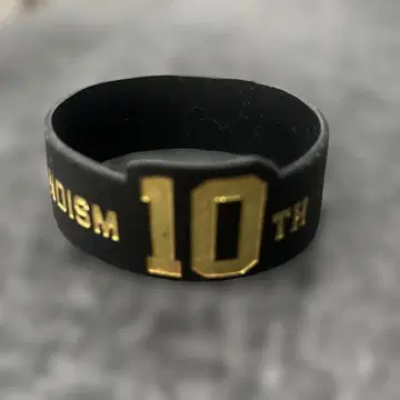 히게단 10주년 러버 밴드