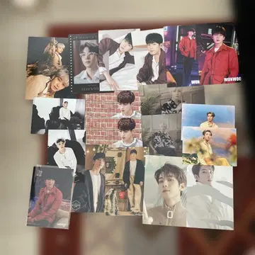 SEVENTEEN 원우 세트
