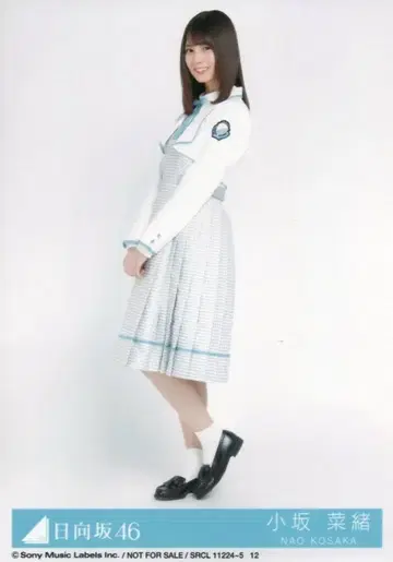 히나타자카46 도레미소라시도 코사카나오 봉입 특전 브로마이드C 히키