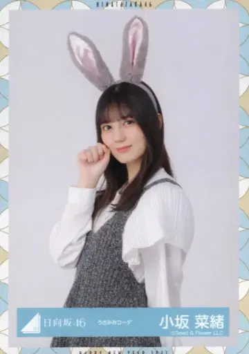 히나타자카46 2023년 신춘 아이템 코사카나오 토끼 귀 코디 츄