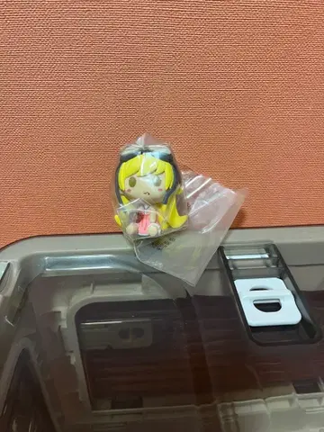 초코놋코 오시노 시노부