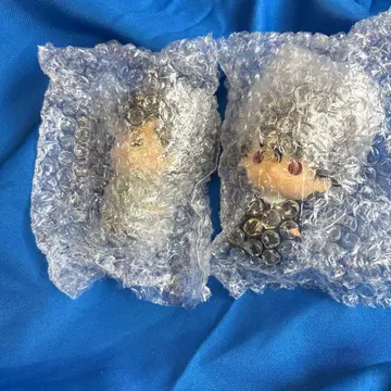 제일복권 유유백서 암흑무술회편 E상 sofvic츄 우라이 유스케 히에이