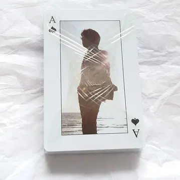 오이카와 미츠히로 아름다운 세계 투어 카드놀이