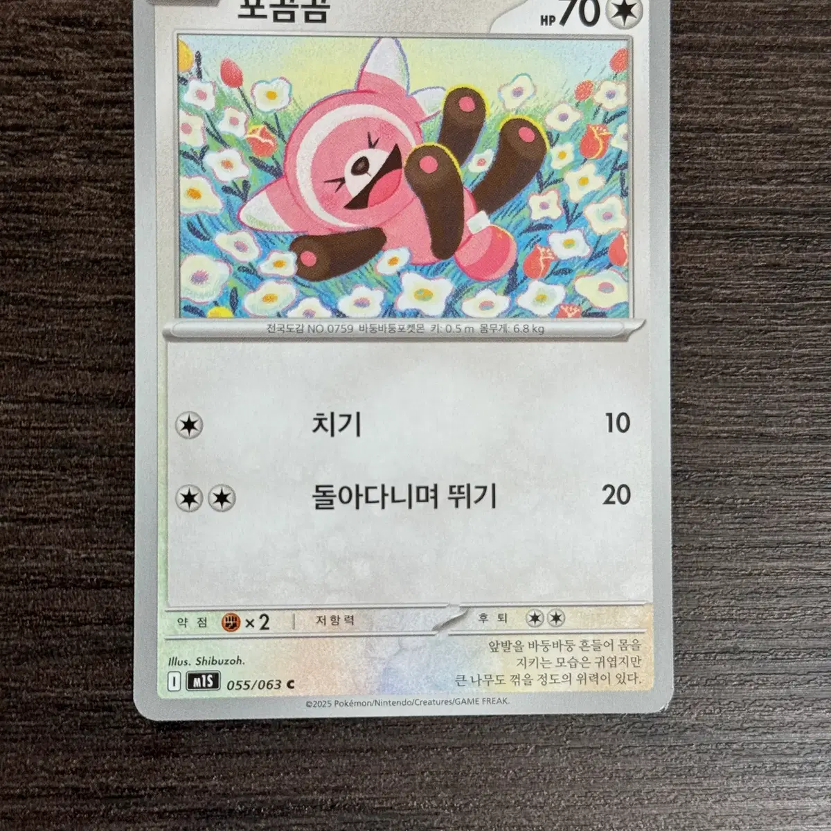 cetoddle pokemon card The Cards Of Pokmon TCG: Paldea Evolved Part 13: Cetoddle Line