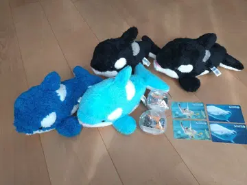 카모가와 씨월드 범고래 봉제 인형 스티커 스케치북 참
