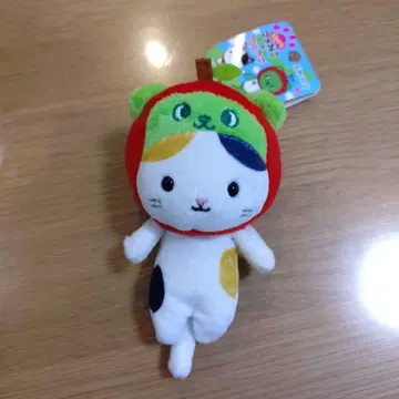 여행하는 콩고양이 아루쿠마 나가노 한정판