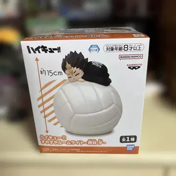 하이큐!! 룸러너 피규어 니시노야 유우 약 15cm