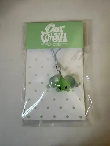 NCT WISH MINI WICHU 키링