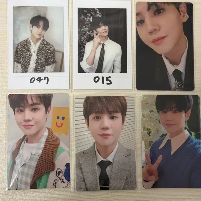 하이라이트 비스트 요섭 포카 일괄 양도