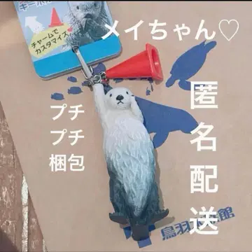 도바 수족관 랏코 키링 컬러 콘 메이짱