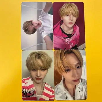 ALD1 산원 트레카세트