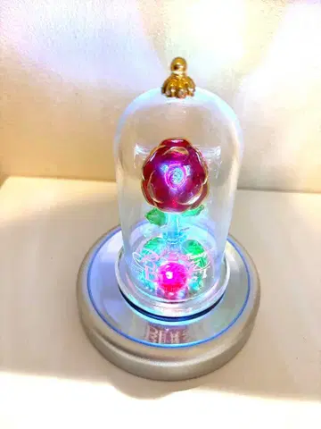 미녀와 야수 LED 유리 돔 장미 오브제
