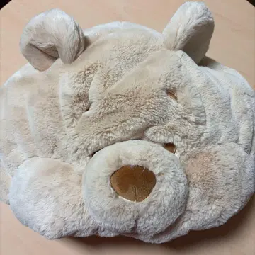 도쿄 디즈니 리조트 푸우 팬캡