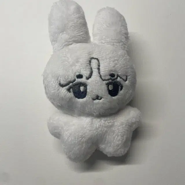 ์ด์ง์ฑ ์ฃผ๋ฌธ์ ์ ์์ธํ