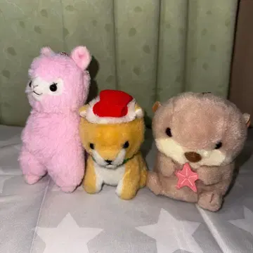 봉제 인형 알파카 시바견 랏코