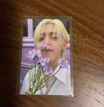 SEVENTEEN 세븐틴 에스쿱스 your choice 중화 특전