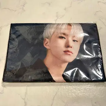 SEVENTEEN 세븐틴 RIGHT HERE 포토 타월 호시 HOSHI