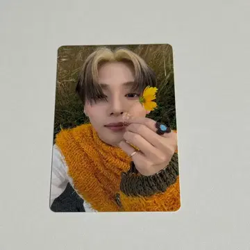 ALD1 산원 트레이딩 카드 하네다