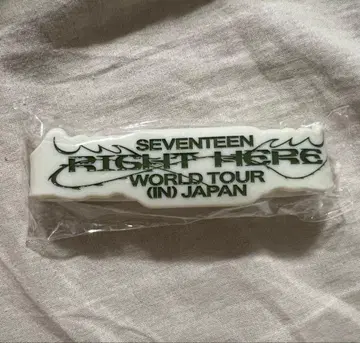 SEVENTEEN 정한 RIGHT HERE 러버 밴드 굿즈