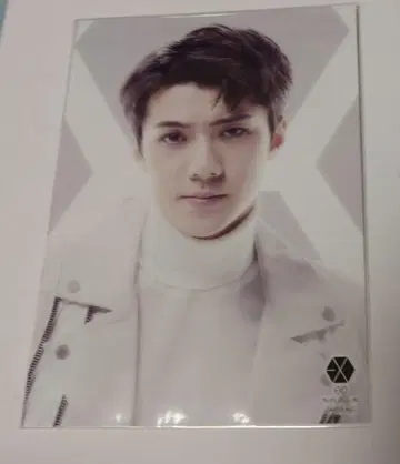 EXO 세훈 SEHUN 미니 팬미팅 엽서 포스카