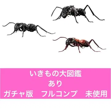 생물대도감 개미 가챠판 풀컴프 미사용