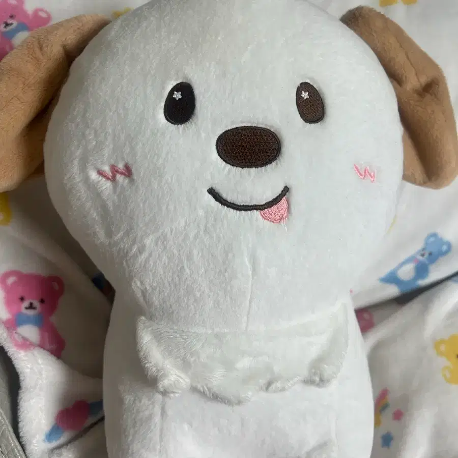 Riize 40cm doll 40cm Meongryonggi wts!! | Bunjang Global