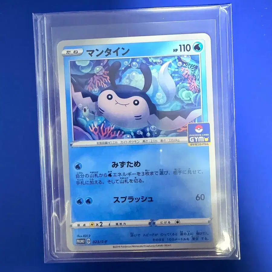 Pokemon Card Japanese Edition Wingull Delta Meiji Promo on Bunjang Global  Site.