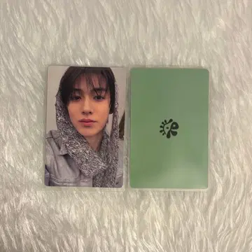 CORTIS 손현 GREENGREEN Vinyl 봉입 트레이딩 카드