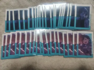 프로세카 에피카 2B 시라이시 안