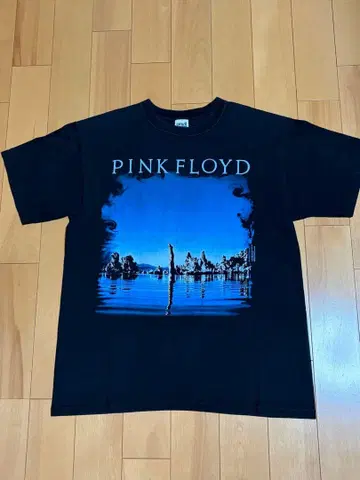 PINK FLOYD 핑크 플로이드 빈티지 티셔츠