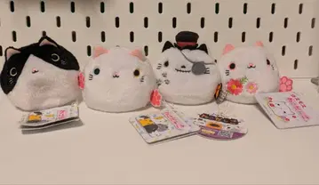 고양이 뭉치 할로윈 스켈레톤 코스모스 벌꿀 오드아이 봉제 인형 세트