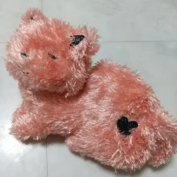 리이슈 고양이 핑크 요네즈 켄시 2020