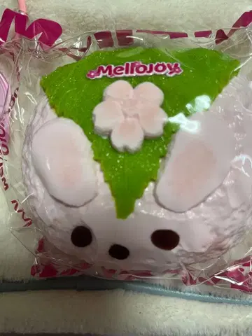 멜로 조이 스퀴즈 토끼 벚꽃 모찌