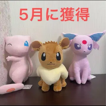 포켓몬스터 봉제 인형 이브이 에브이 뮤우 3체 세트 새상품 택