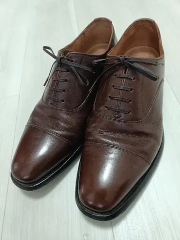 SCOTCH GRAIN/스코치 그레인 아슈란스 3526 26cm