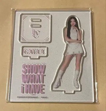 IVE 아크릴 스탠드 아크스타 가을 1점 월츠 도쿄돔 공연 일본 한정판
